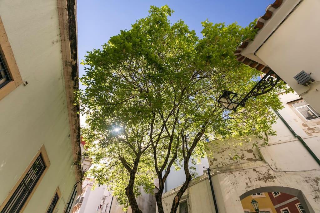 1e Brand New Right In The Heart Of Alfama Appartement Lissabon